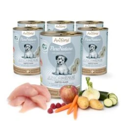 Aniforte Nassfutter Junior Menue Huhn 6 X 400g 11 Aniforte Nassfutter Junior Menue Huhn 6 X 400g -EUKANUBA Verkäufe f57037a1e8e0bc0efe3398c4c5715e55cb28ff0f 1422190 de DE e4f43588e5bd02e95307ff5ee75884f67a546dd8h4OnT7