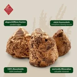 ChronoBalance Kauwurzel Baumheide (M) 2er Paket 13 ChronoBalance Kauwurzel Baumheide (M) 2er Paket -EUKANUBA Verkäufe f97f60efcfff78cc60f7b0cb9b454de043b3bc44 1418714 de DE 7f5c8529b0ef5815ce0e8f89d9a5ef23e03b1c21rrSfDg