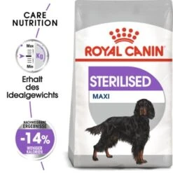 ROYAL CANIN Sterilised Maxi 12 Kg