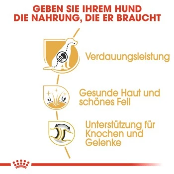 ROYAL CANIN Deutscher Schäferhund Adult 11 Kg 7 ROYAL CANIN Deutscher Schäferhund Adult 11 Kg – Bild 5